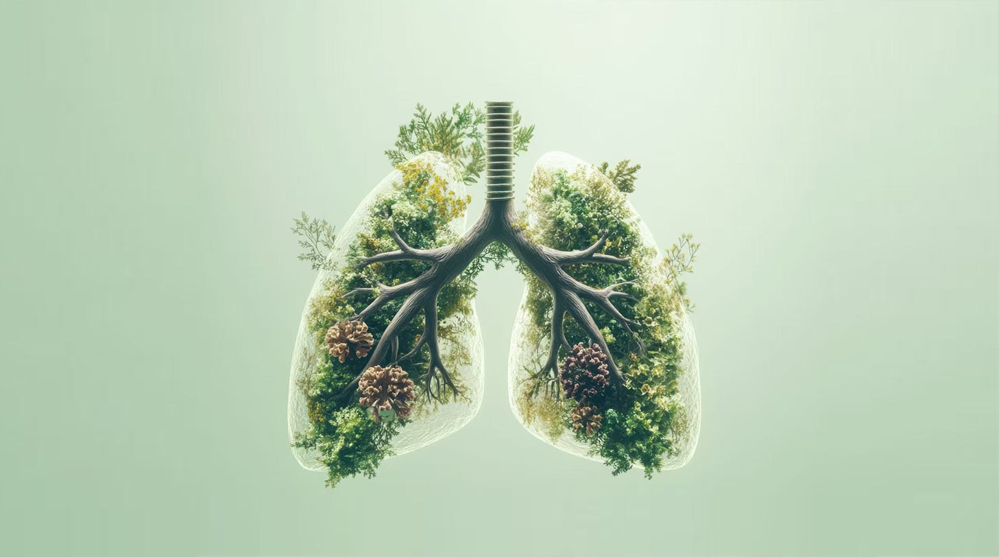 Are Oil Diffusers Safe for the Lungs? Facts to Know