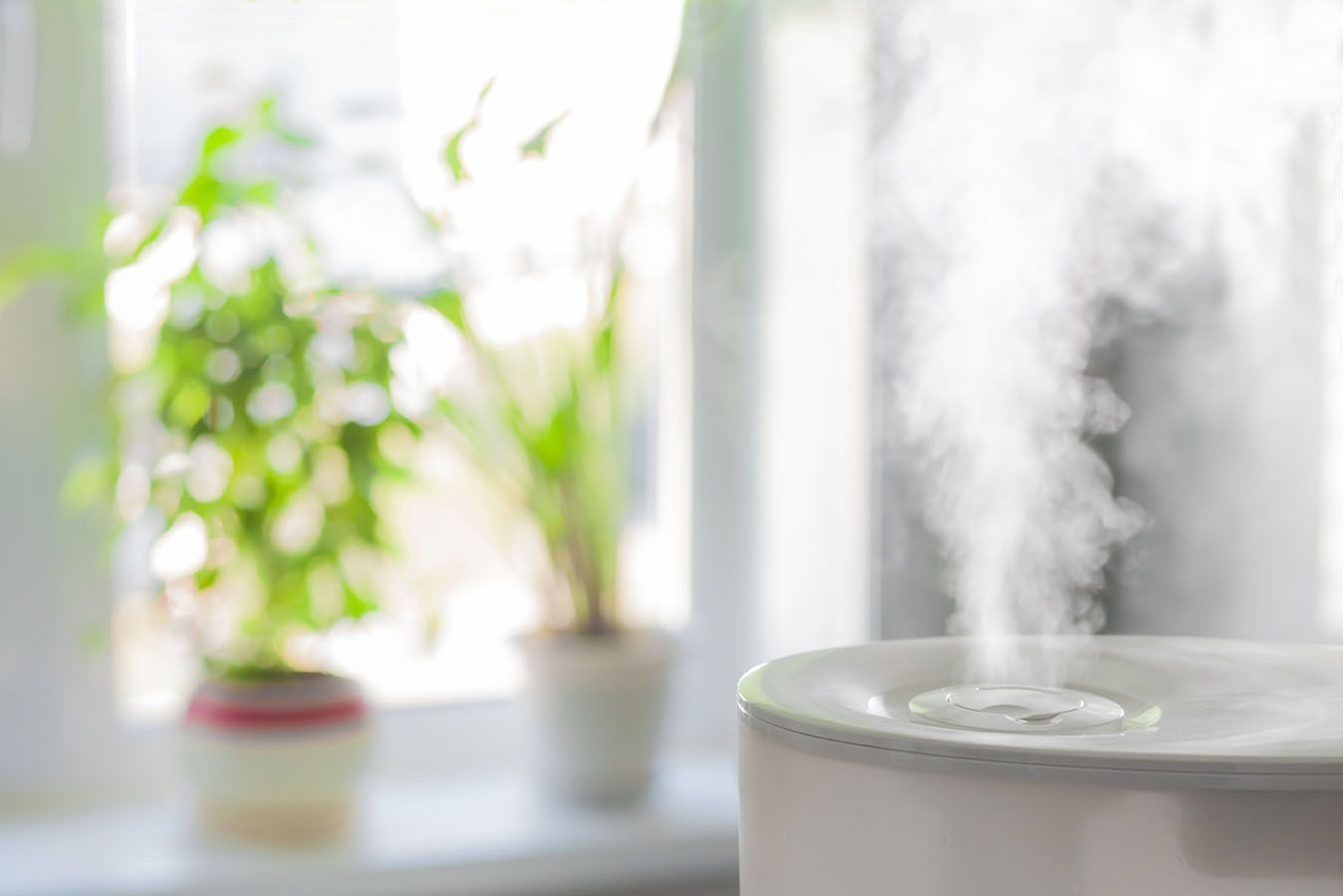 The Humidifier Filter Truth: Why You Should Choose a Filter-Free Steam Humidifier