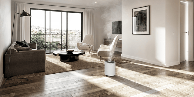 Best Humidifier for Large Rooms: Whole-Home Solutions for 1000+ Sq Ft Spaces - Y&O