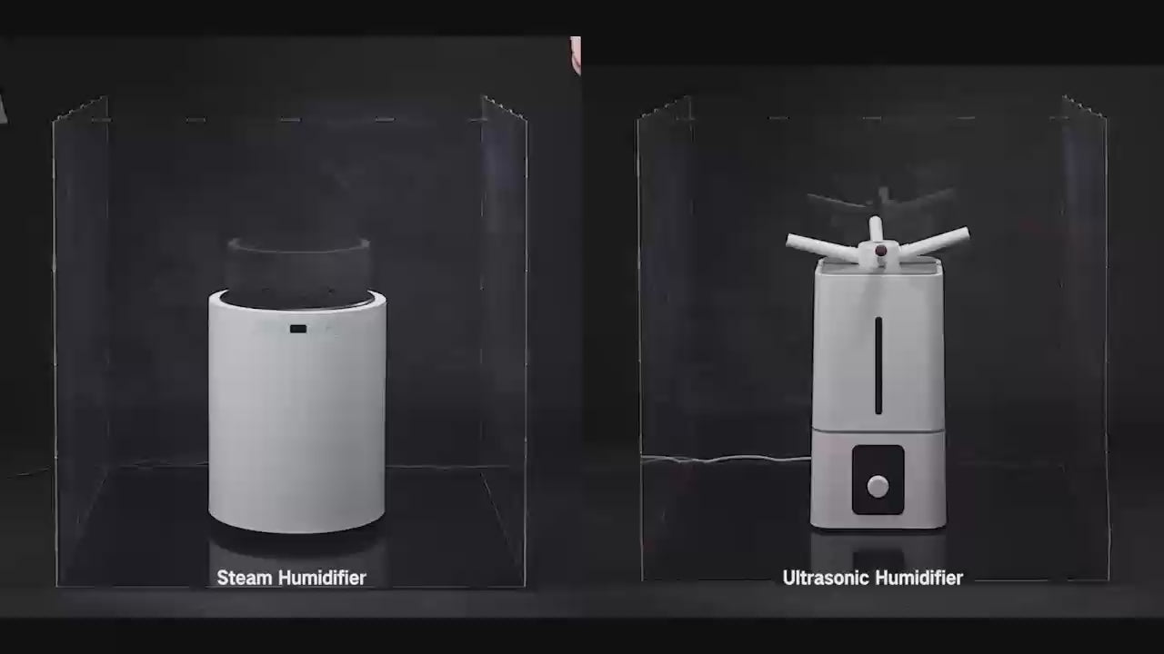 Charger la vidéo :