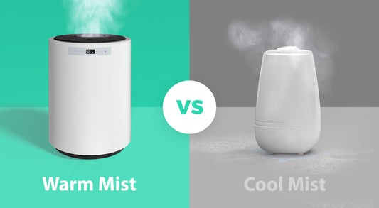 warm mist vs cool mist humidifier