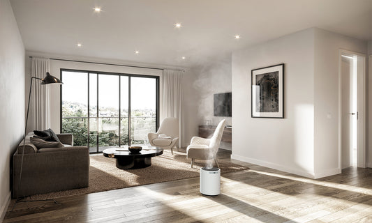 Whole-House Steam Humidifiers: Benefits