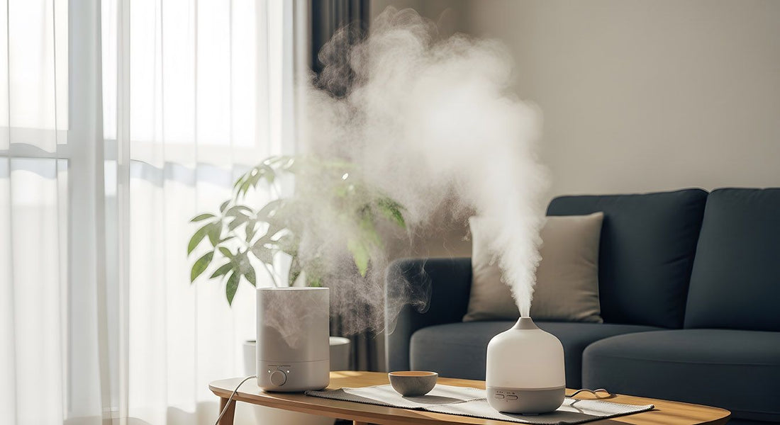 Warm Mist vs. Cool Mist Humidifier: The Unspoken Health Risks Levoit Didn't Tell You