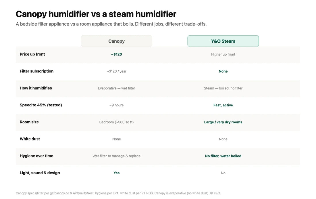 Canopy Humidifier vs Steam: Is It Really Worth It?