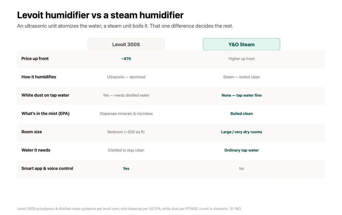 Levoit Humidifier vs Steam: Is It Really Worth It?