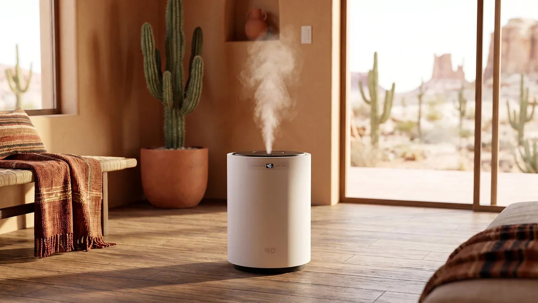 Best Humidifier for a Desert Climate: What to Buy for Arizona & Dry Air (2026)